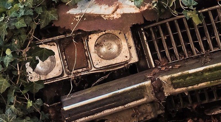 Photo couleurs d'une vieille cadillac rouillée enfouie sous du lierre